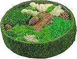 Round Fairy Garden Display, DIY Dried Moss Enchanted Landscape Terrarium Starter Kit...